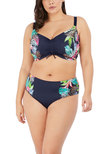 Elomi Pina Colada Crop Bikini Top Midnight Pina Colada  Midnight