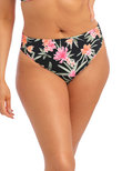 Elomi Dark Tropics Mid Rise Bikini Brief Black Dark Tropics  Black
