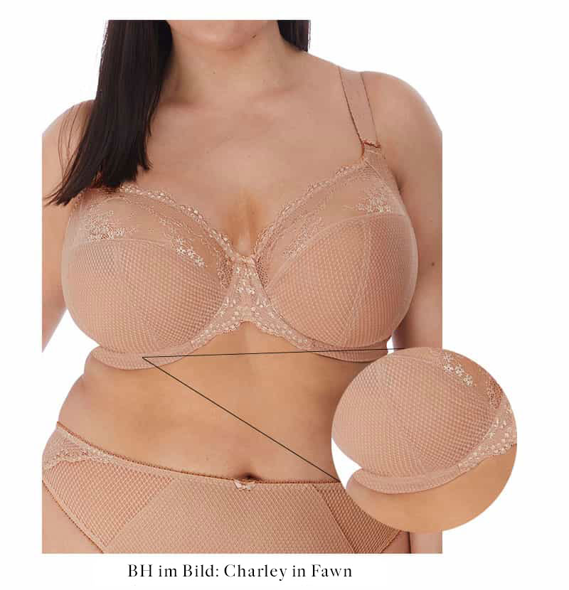 Charley in Fawn