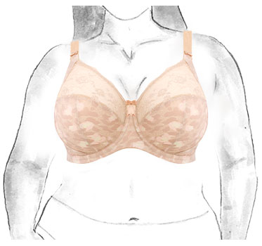 Elomi-ROW-Advice-BraBreakdown-3BoxTextUnder-BandedBra-MorganToastedAlmond-MB.jpg